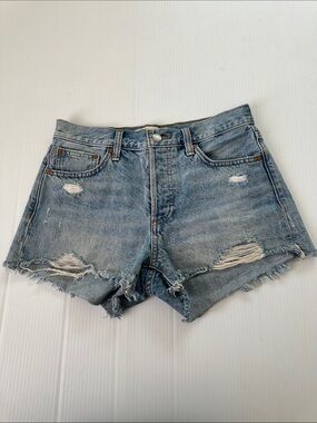 Aritzia Denim Forum Ex Boyfriend Shorts, 24